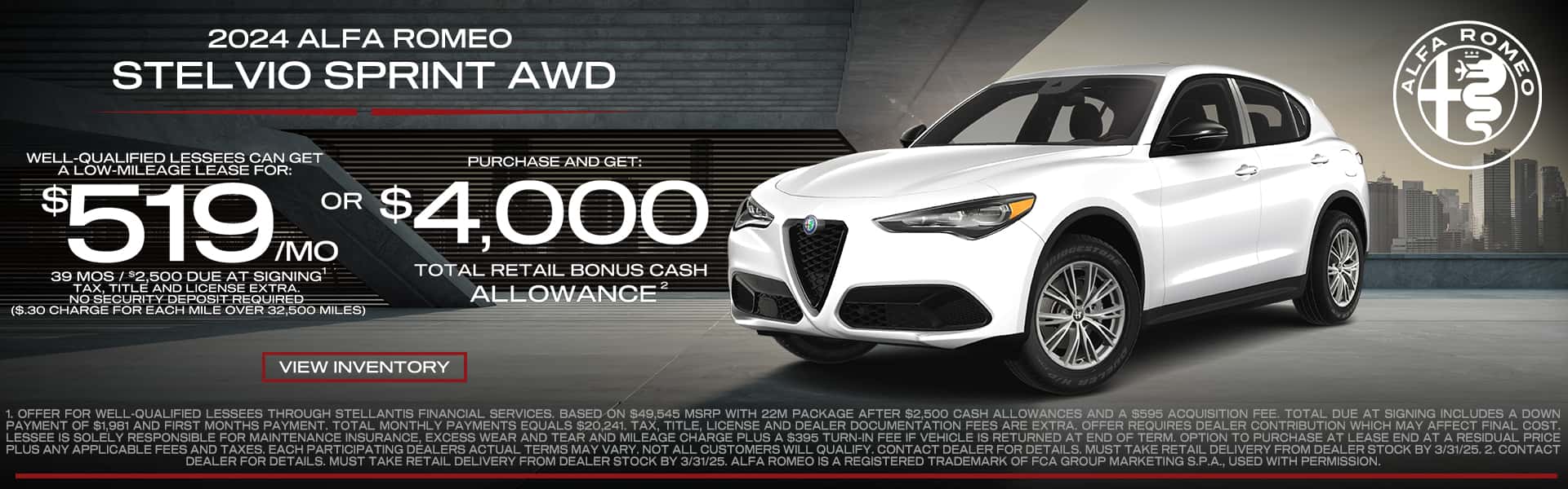stelvio banner