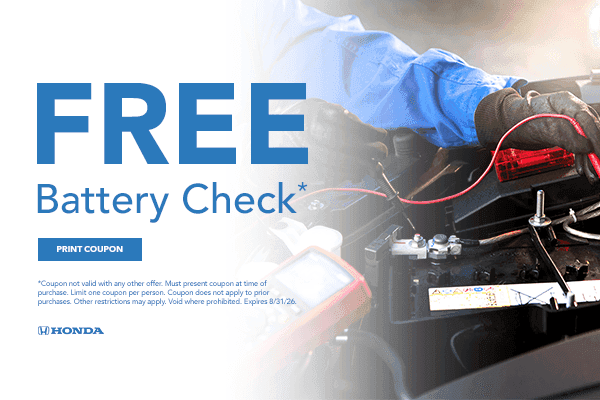 Battery Check