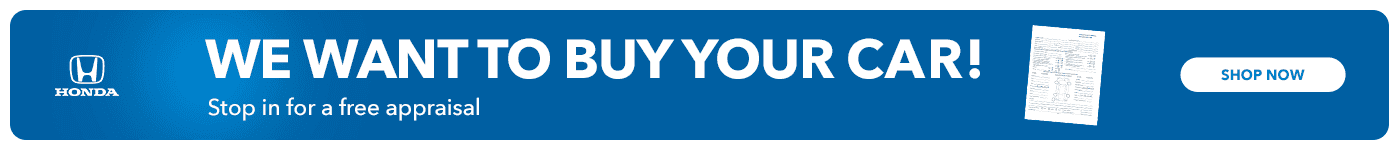 We want to buy your car
