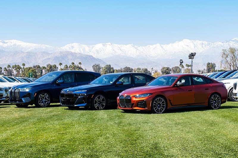 Image of multiple BMW vehicles standing on a grass field, mountains in the background.