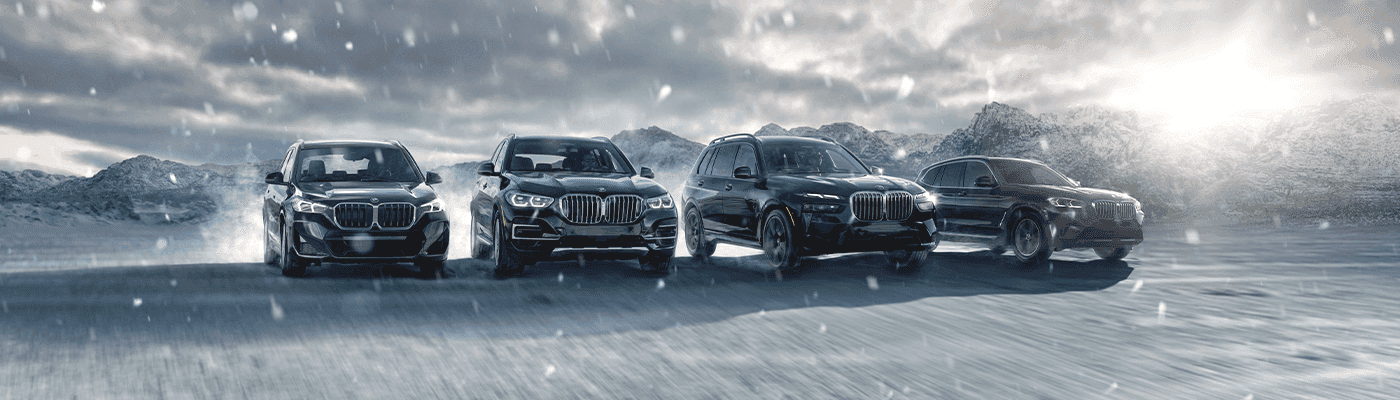 Winter Maintenance at BMW of Schererville