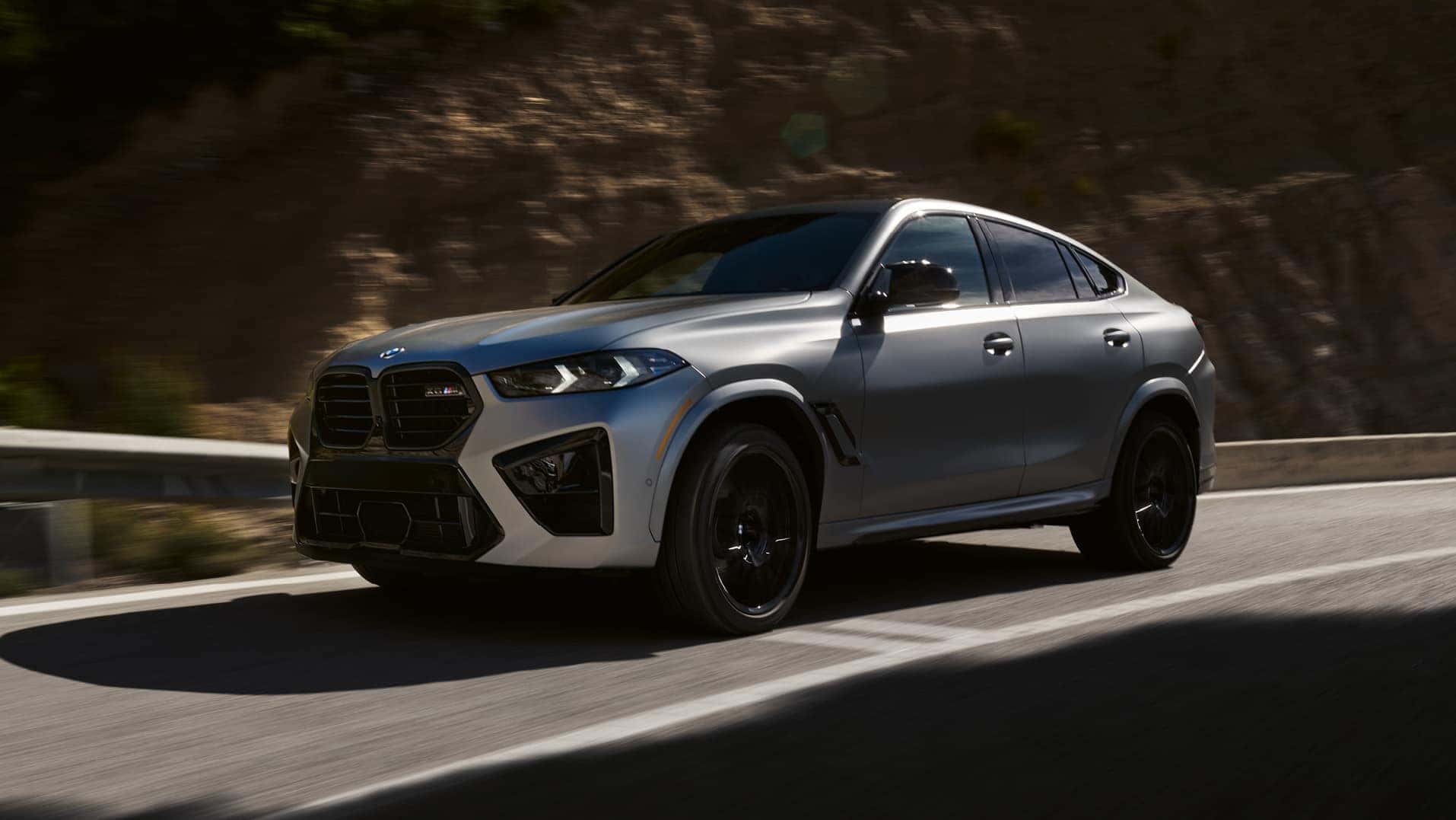 2025 BMW X6