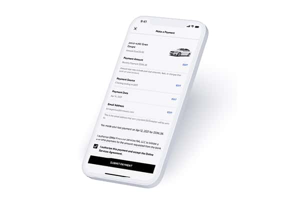 BMW Vehicle Status
