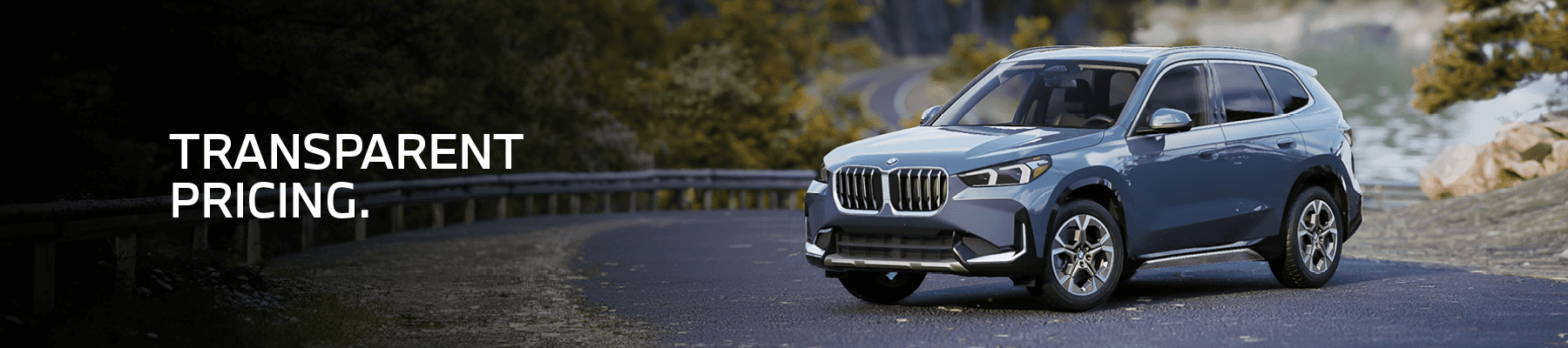 BMW SUV driving on a scenic road