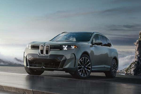 Gray BMW SUV parked on a scenic coastal road