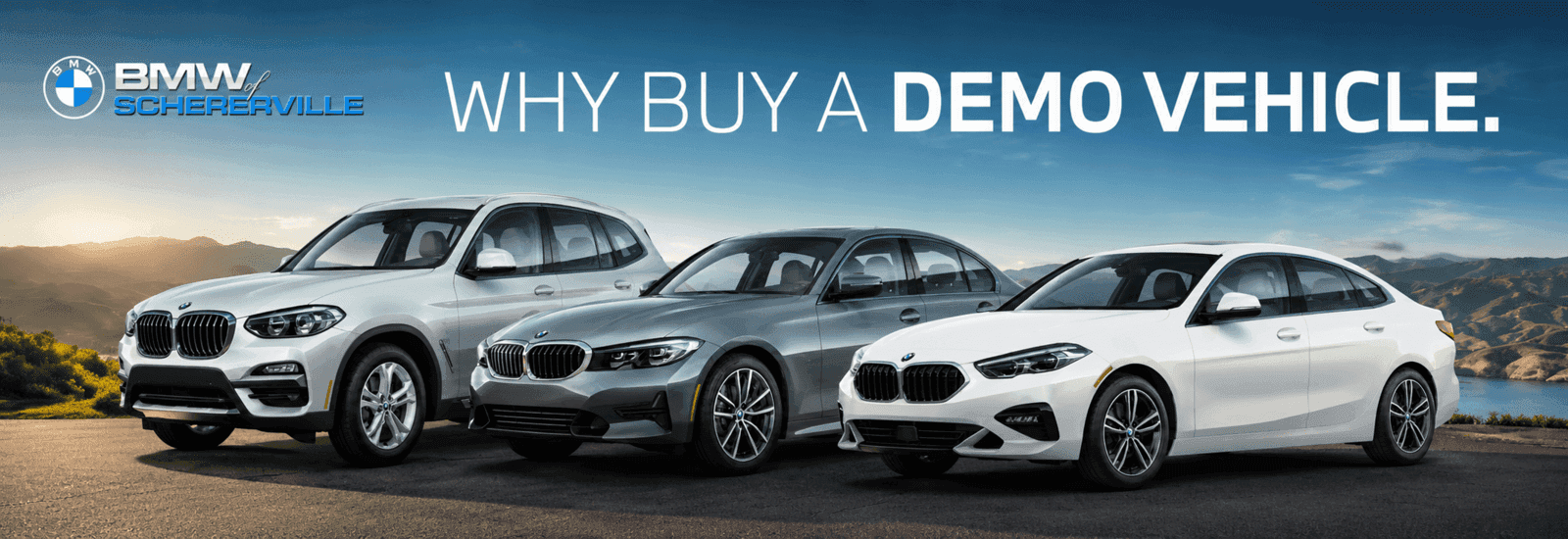 why Buy a Demo
