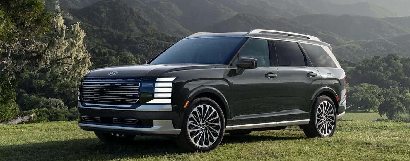 Black 2026 Hyundai Palisade parked off-road.