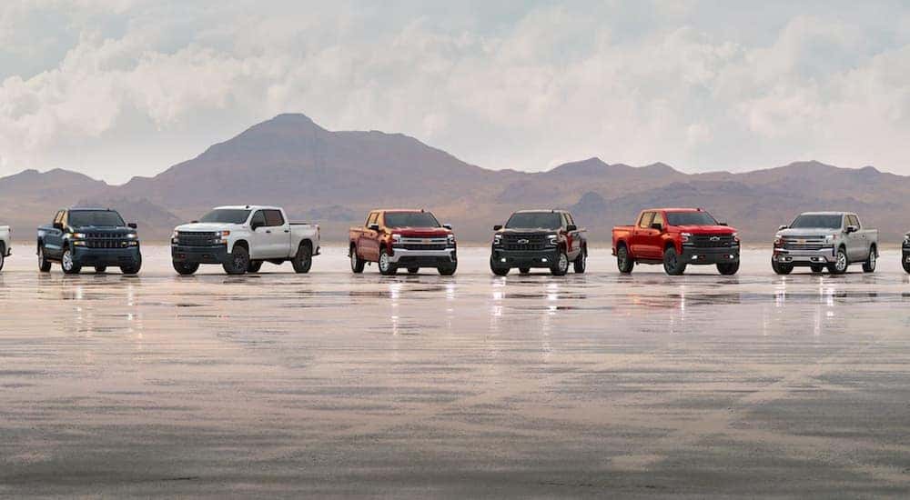 A line of 2021 Chevy Silverado 1500s are parked on an air strip after leaving a Lexington Silverado dealer.