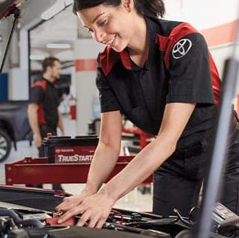 Everything You Need to Know About Cabin Air Filters | Halterman's Toyota Mechanic replaces air filter