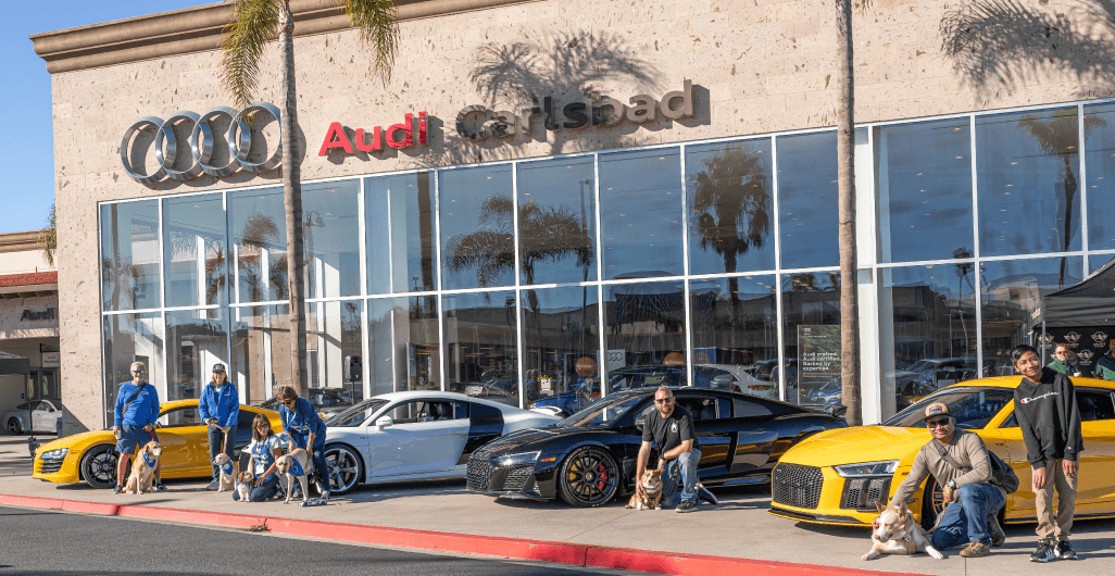San Diego Humane Society volunteers, Audi clients, and their pets in front of Audi Carlsbad.