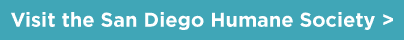 Visit the San Diego Humane Society 