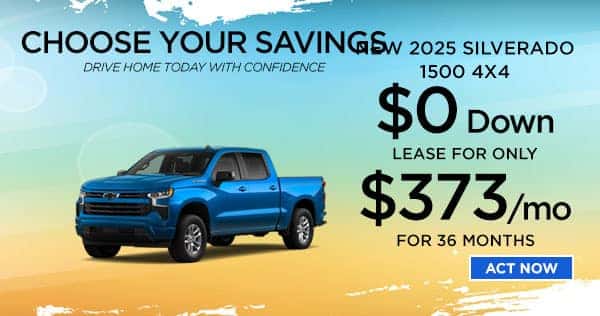 New Chevrolet Silverado 1500 Special