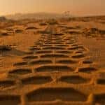 Tire tracks pressed into golden sand, stretching into the distance at sunset.