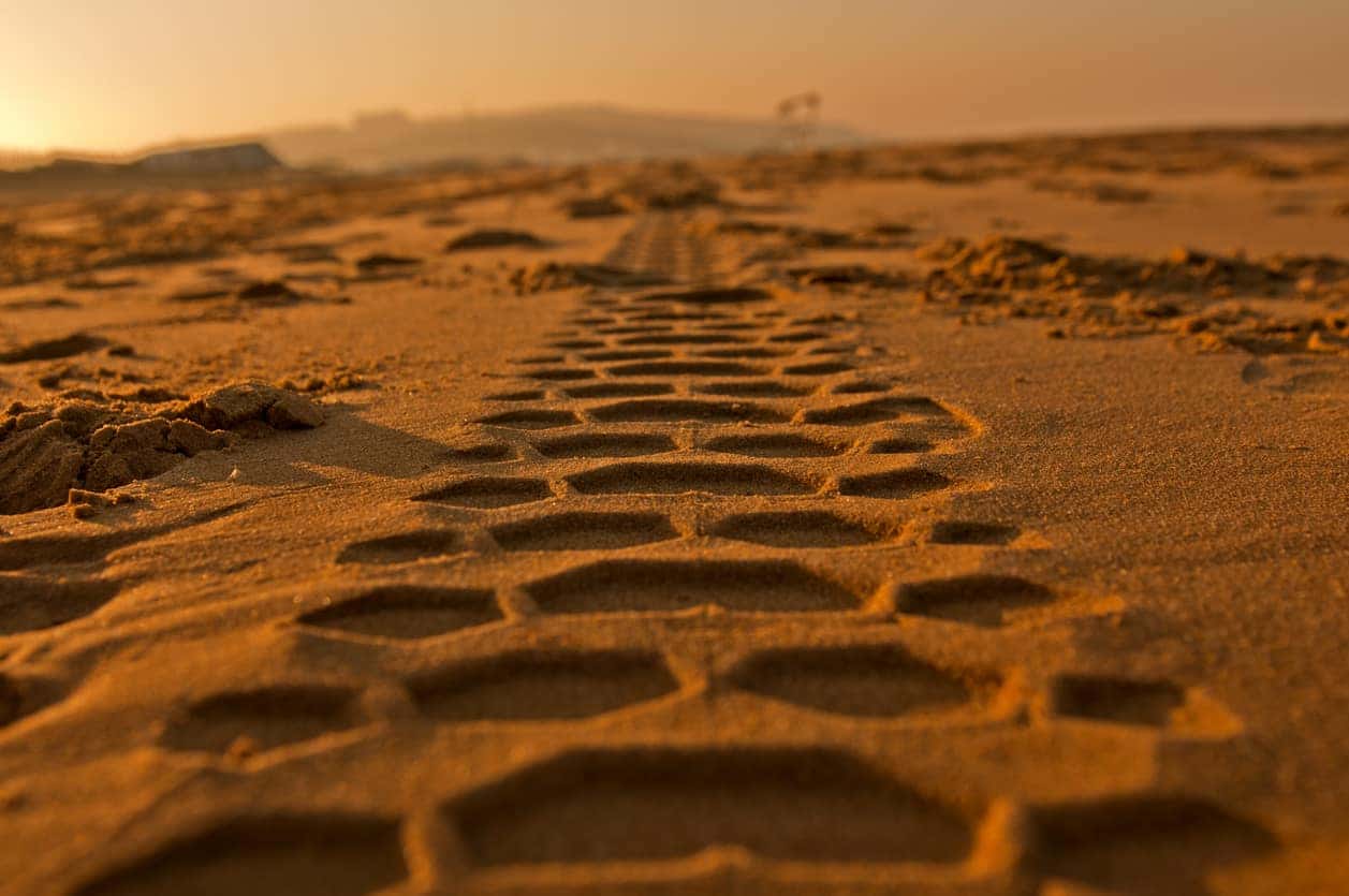 Tire tracks pressed into golden sand, stretching into the distance at sunset.