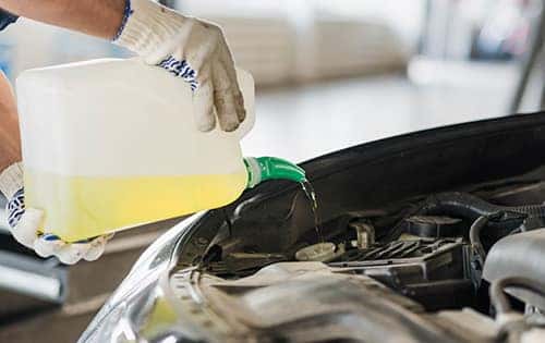 Cooling System Service
