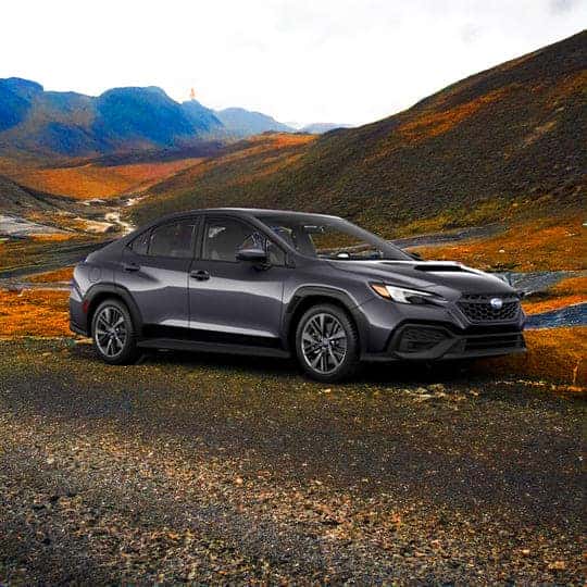 2024 Subaru WRX Trim Levels Base Trim