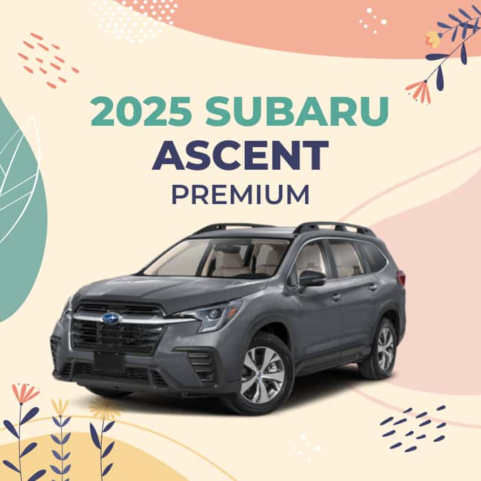 2024 Ascent