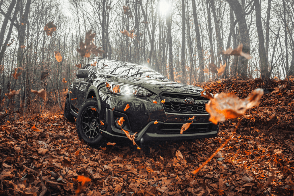 Subaru Autumn
