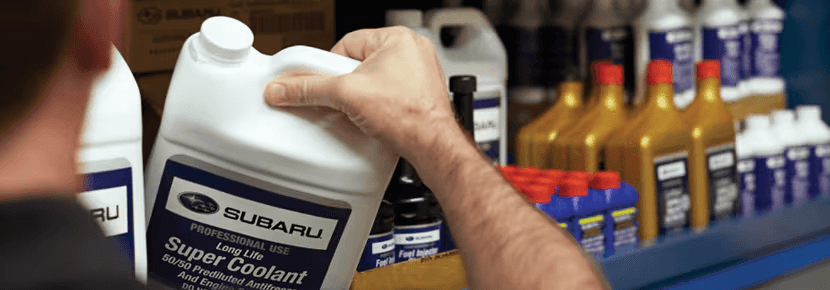 Subaru coolant