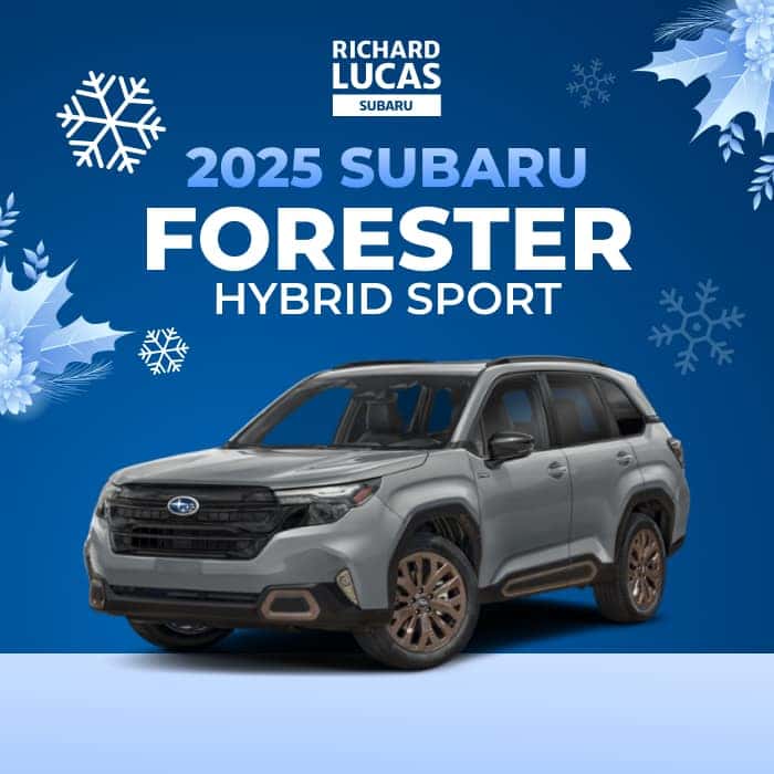 Subaru Forester Lease Specials Aesthetic Wallpaper