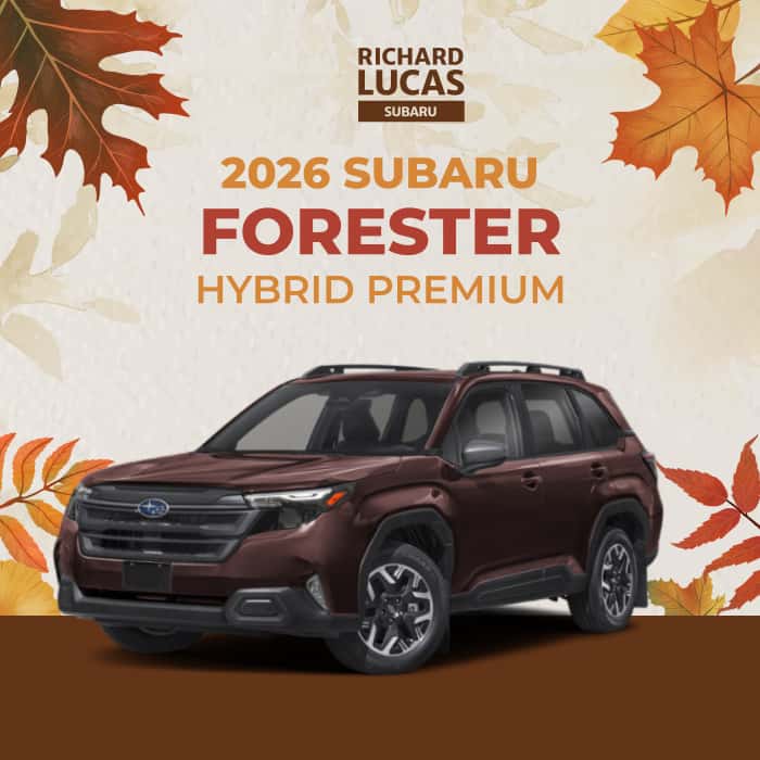 Forester-Hybrid