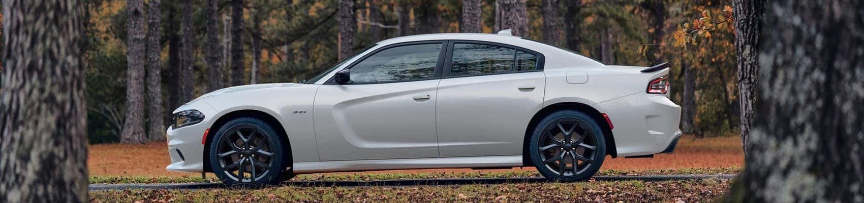 Used Car Dealer near Northport MI