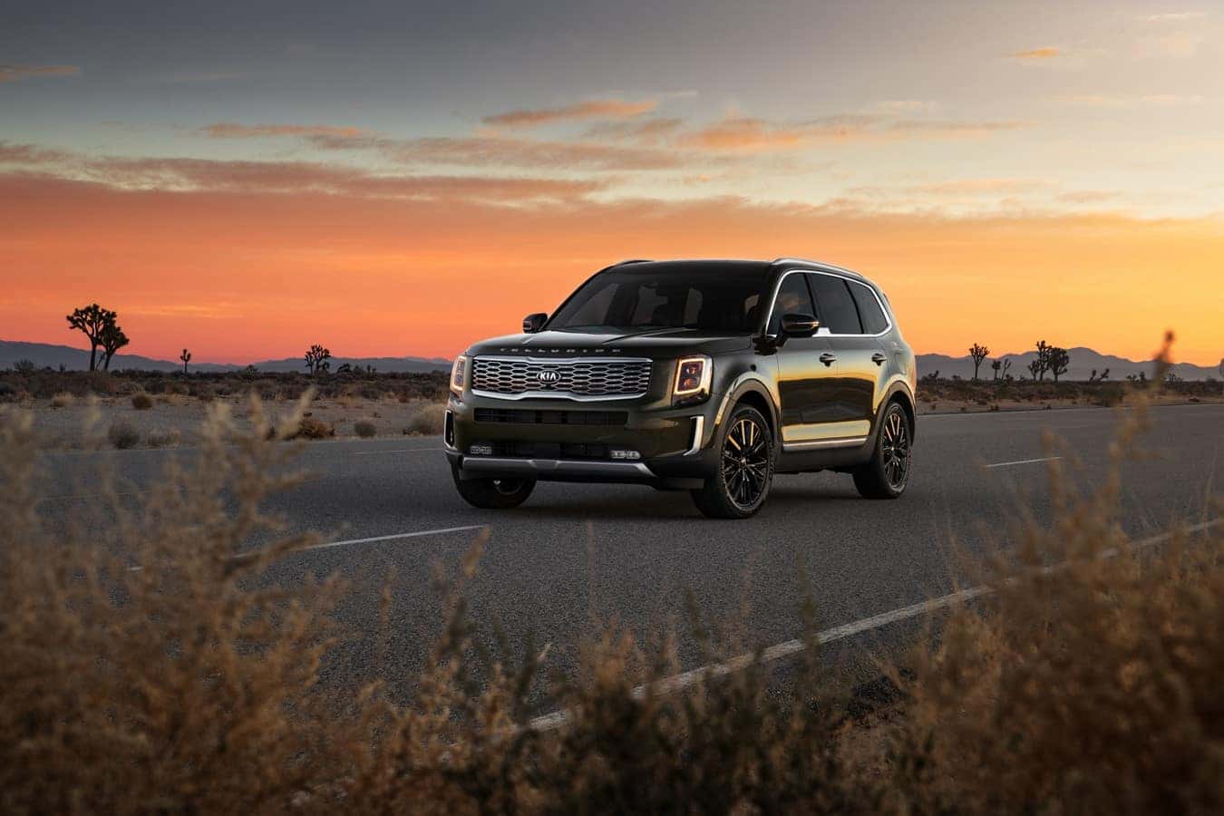 2020 Telluride
