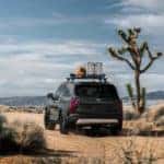 2020 Kia Telluride
