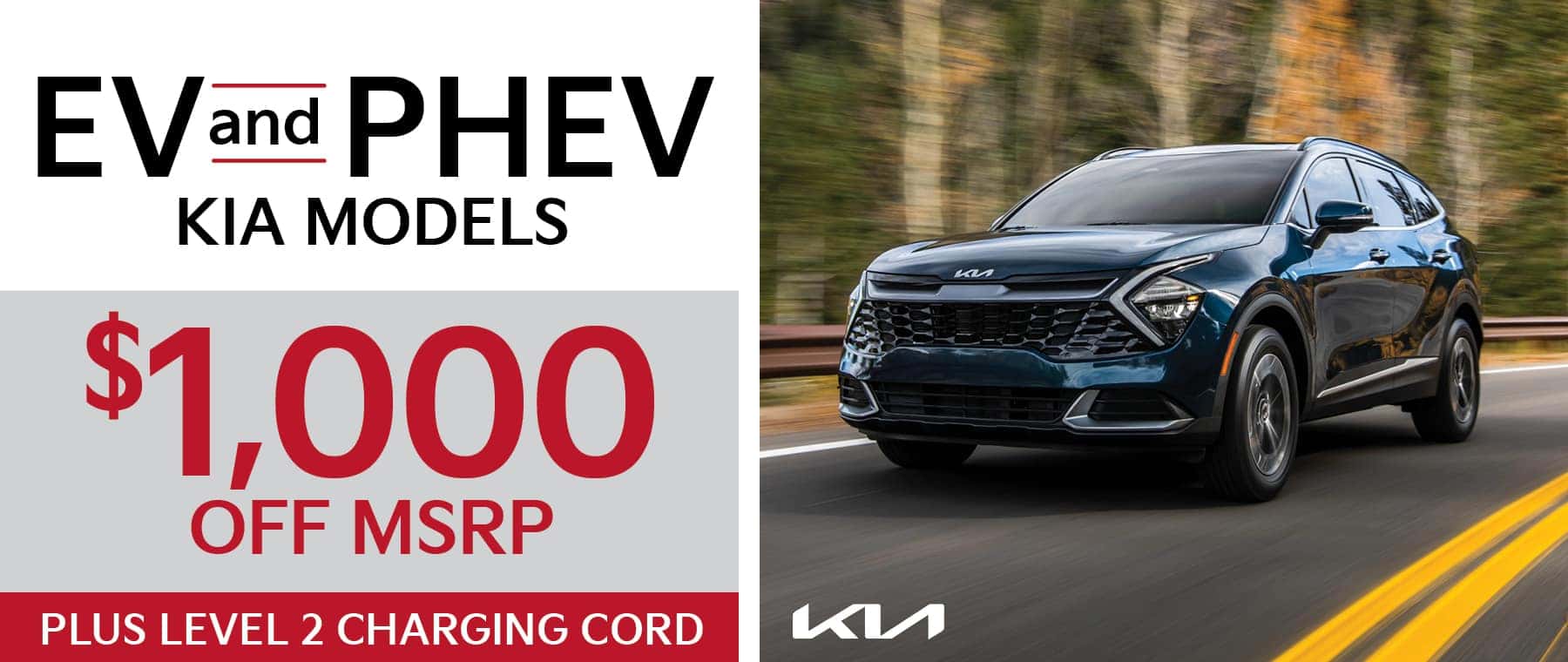 EV and PHEV models