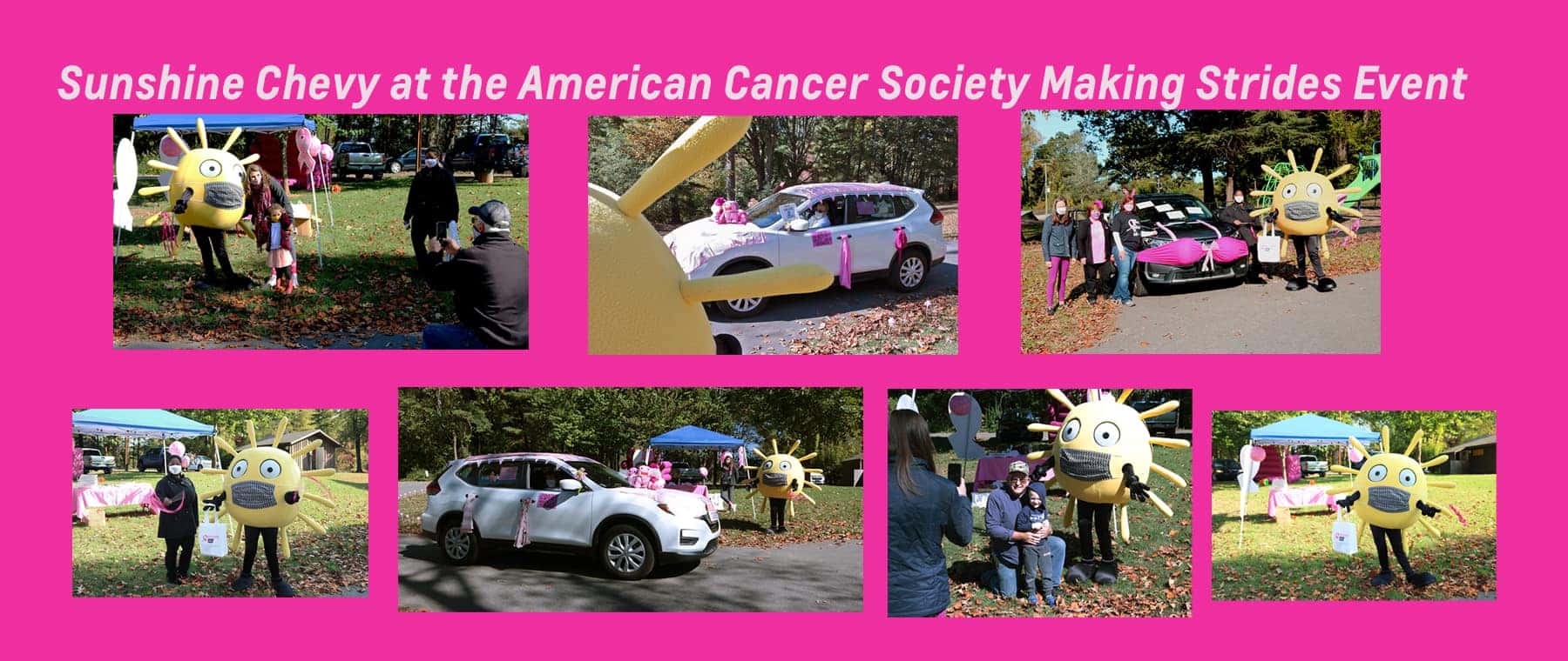 Making Strides Event Banner for 2020