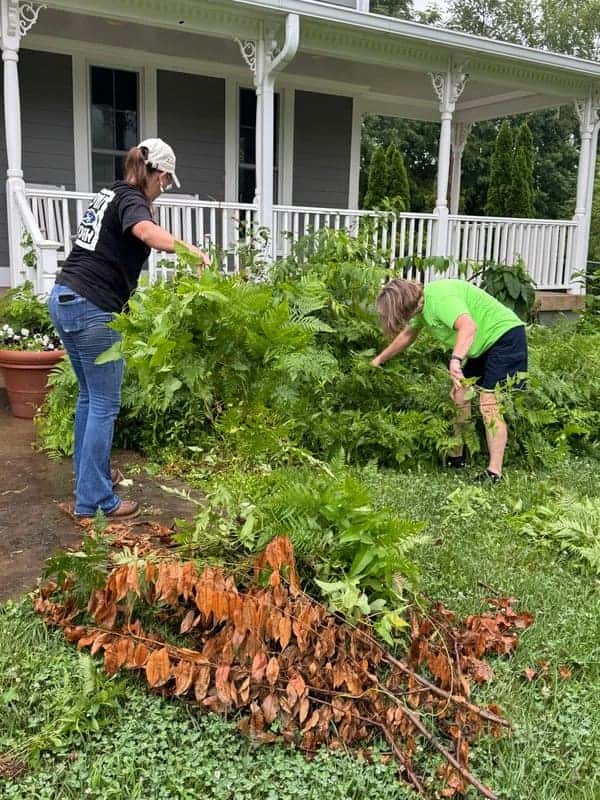 Swope team members volunteering during a community cleanup