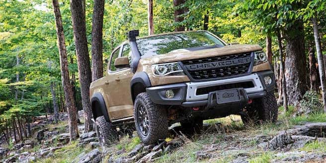 ZR2 Bison