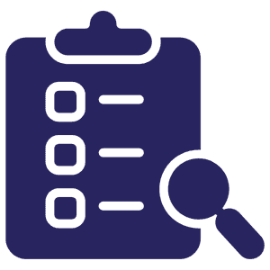 inspection icon